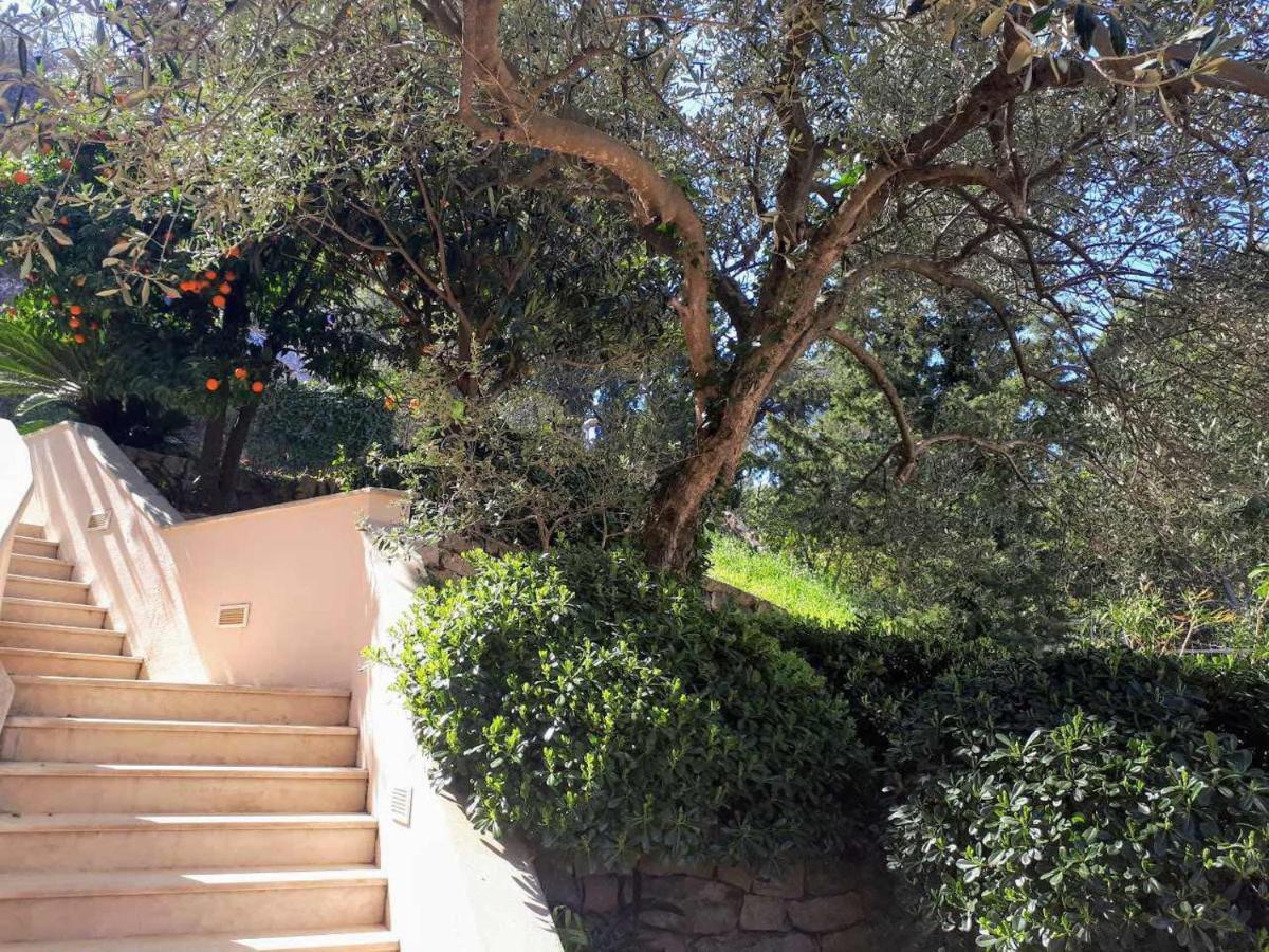 City Apartments Bobic Cavtat Εξωτερικό φωτογραφία